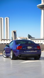 2003 Ford Mustang SVT Cobra Coupe - 57k mile