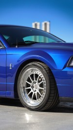 2003 Ford Mustang SVT Cobra Coupe - 57k mile