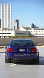 2003 Ford Mustang SVT Cobra Coupe - 57k mile