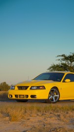 2003 Ford Mustang SVT Cobra Terminator Coupe - 86k mile