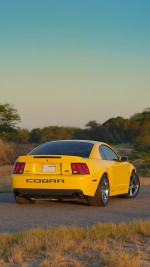 2003 Ford Mustang SVT Cobra Terminator Coupe - 86k mile