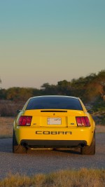 2003 Ford Mustang SVT Cobra Terminator Coupe - 86k mile