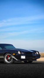 1981 Chevrolet Camaro Z/28 - LS1