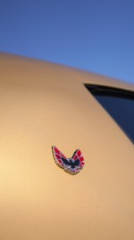 1978 Pontiac Firebird Trans Am - 4883 mile only