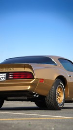 1978 Pontiac Firebird Trans Am - 4883 mile only