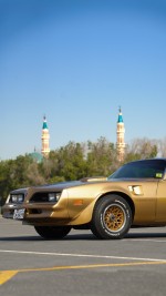 1978 Pontiac Firebird Trans Am - 4883 mile only