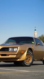 1978 Pontiac Firebird Trans Am - 4883 mile only