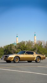 1978 Pontiac Firebird Trans Am - 4883 mile only