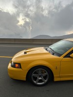 2004 Ford Mustang SVT Cobra Terminator Coupe - 59k mile