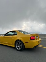 2004 Ford Mustang SVT Cobra Terminator Coupe - 59k mile