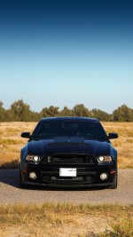 2013 Ford Mustang Shelby GT500 SVT 20th Anniversary Package - 27k mile