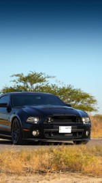 2013 Ford Mustang Shelby GT500 SVT 20th Anniversary Package - 27k mile