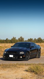 2013 Ford Mustang Shelby GT500 SVT 20th Anniversary Package - 27k mile