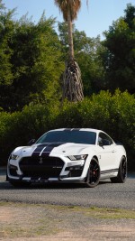 2020 Ford Mustang Shelby GT500 - 28k km