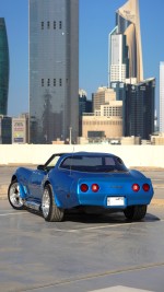 1981 Chevrolet Corvette T-Top LS2