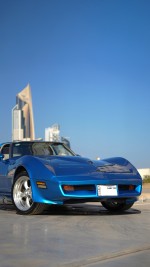 1981 Chevrolet Corvette T-Top LS2