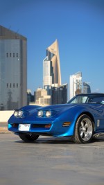 1981 Chevrolet Corvette T-Top LS2