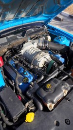 2013 Ford Mustang Shelby GT500 – 20th Anniversary Edition - 24k km