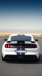 2019 Ford Mustang Shelby GT350 - 31k km