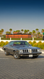 1973 Pontiac Grand Am - 25k mile