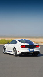 2017 Ford Mustang Shelby Super Snake 50th Anniversary Edition - 10k km