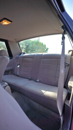 1990 Ford Mustang LX Notchback 5.0 - 89k mile