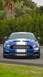 2017 Ford Mustang Shelby Super Snake 50th Anniversary Edition - 40k km