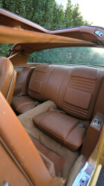 1978 Pontiac Firebird Trans Am T-Tops - 72k km