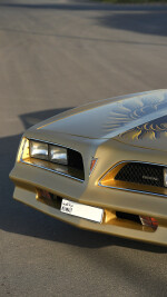 1978 Pontiac Firebird Trans Am T-Tops - 72k km