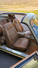 1978 Pontiac Firebird Trans Am T-Tops - 72k km