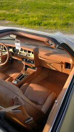 1978 Pontiac Firebird Trans Am T-Tops - 72k km