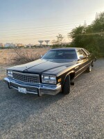 1976 Buick LeSabre Coupe - 44k mile