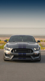 2019 Ford Mustang Shelby GT350 Coupe - 11k km